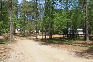 220 Mill Pine Rd, Liberty, SC 29657 - Photo 9