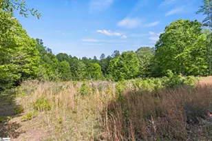 155 Shanel Dr, Woodruff, SC 29388 - Photo 3