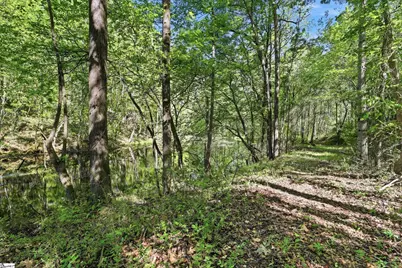 661 Arlington Road, Greer, SC 29651 - Photo 33