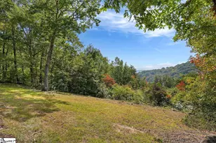 100 Eagle Rock Rd, Landrum, SC 29356 - Photo 37