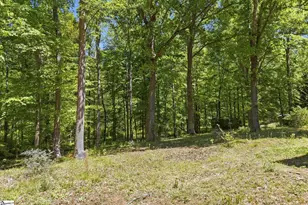 305 Dill Cir, Landrum, SC 29356 - Photo 23