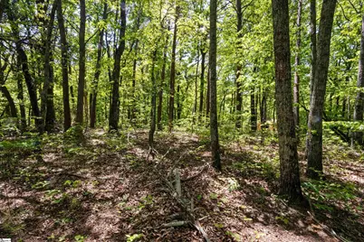 120 Chestnut Mountain Road, Travelers Rest, SC 29690 - Photo 13
