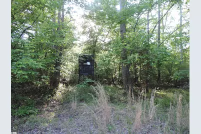 0 Hobbysville Road, Roebuck, SC 29376 - Photo 19