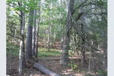 0 Hobbysville Road, Roebuck, SC 29376 - Photo 15