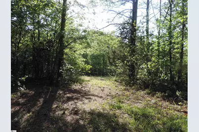 0 Hobbysville Road, Roebuck, SC 29376 - Photo 23