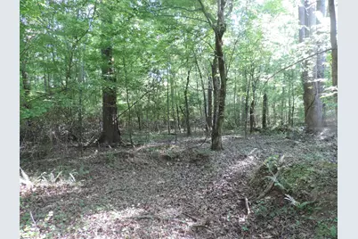 0 Hobbysville Road, Roebuck, SC 29376 - Photo 31