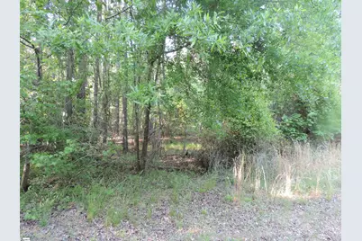 0 Hobbysville Road, Roebuck, SC 29376 - Photo 17