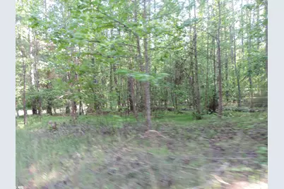 0 Hobbysville Road, Roebuck, SC 29376 - Photo 29