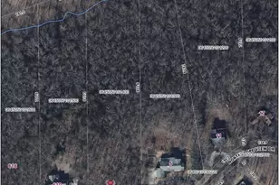 608 Plumley Summit Rd, Landrum, SC 29356 - Photo 11