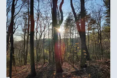 122 Glassy Falls Trail, Travelers Rest, SC 29690 - Photo 15