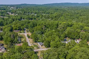 100 Woodburn Dr, Taylors, SC 29687 - Photo 39