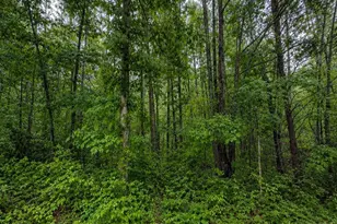 00 Valley Rd, Travelers Rest, SC 29690 - Photo 1