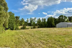411 Bradley Dill Rd, Campobello, SC 29322 - Photo 11