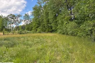411 Bradley Dill Rd, Campobello, SC 29322 - Photo 9