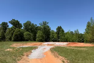 18040 Hwy 101 S, Gray Court, SC 29645 - Photo 3