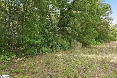 0 Parris Farm Road #Lot 5, Chesnee, SC 29323 - Photo 25