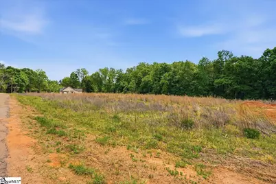 0 Parris Farm Road #Lot 5, Chesnee, SC 29323 - Photo 21