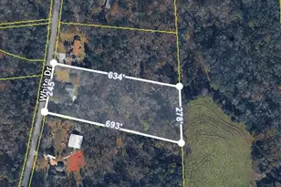 227 White Dr, Simpsonville, SC 29681 - Photo 47