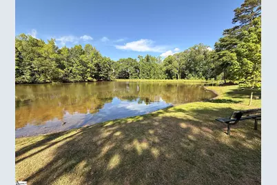 112 Canebrake Drive, Greer, SC 29650 - Photo 29