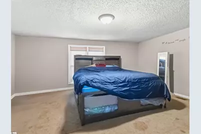 8768 Highway 92, Enoree, SC 29335 - Photo 23