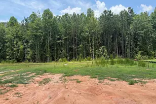 4064 Hollybank Dr, Spartanburg, SC 29303 - Photo 9