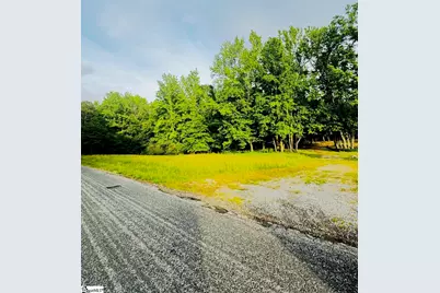 0000 Thompson Road, Fountain Inn, SC 29644 - Photo 3