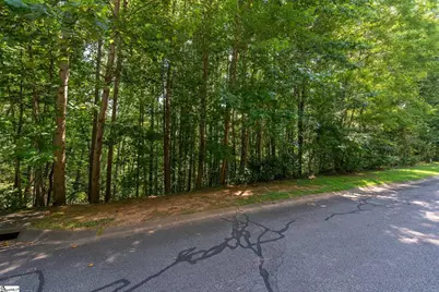 313 Laurel Valley Way, Travelers Rest, SC 29690 - Photo 3