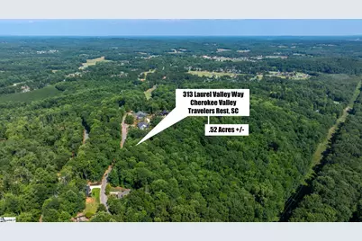 313 Laurel Valley Way, Travelers Rest, SC 29690 - Photo 11