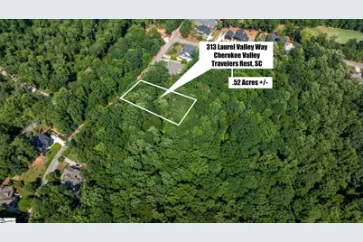 313 Laurel Valley Way, Travelers Rest, SC 29690 - Photo 13