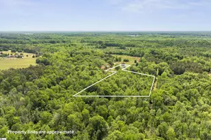 327 Emily Ln, Piedmont, SC 29673 - Photo 47