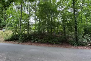 136 St John Zion Rd, Rutherfordton, NC 28139 - Photo 27