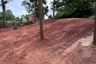 136 St John Zion Rd, Rutherfordton, NC 28139 - Photo 29
