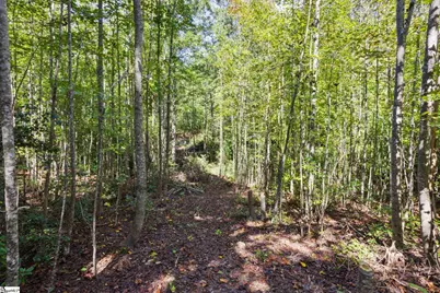 313 Arledge Road, Landrum, SC 29356 - Photo 17
