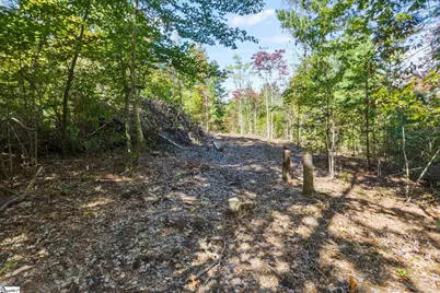 313 Arledge Road, Landrum, SC 29356 - Photo 15