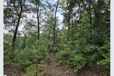 219 Luberon Lane, Travelers Rest, SC 29690 - Photo 7
