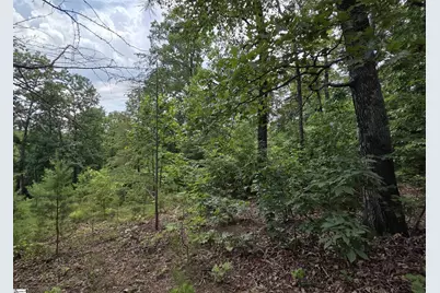 219 Luberon Lane, Travelers Rest, SC 29690 - Photo 9
