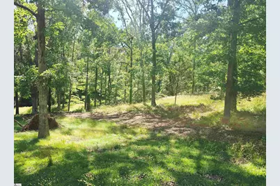 00 Memorial Drive Extension, Greer, SC 29651 - Photo 1
