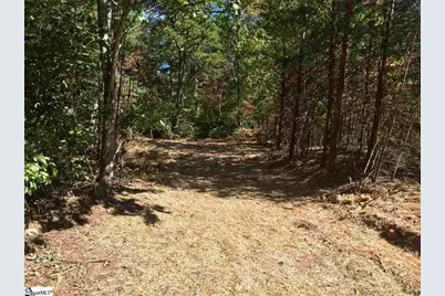 15 Laurel Cove Lane, Travelers Rest, SC 29690 - Photo 3