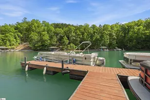 123 Summit Pine, Sunset, SC 29685 - Photo 3