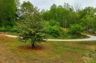 993 Barton Rd, Landrum, SC 29356 - Photo 25