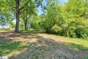 7110 Cotton Owens Dr, Spartanburg, SC 29303 - Photo 45