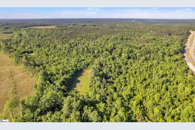 0 Hemlock Dr Drive, Clinton, SC 29325 - Photo 3