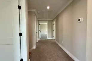 3 Lillians Ln, Greer, SC 29651 - Photo 25