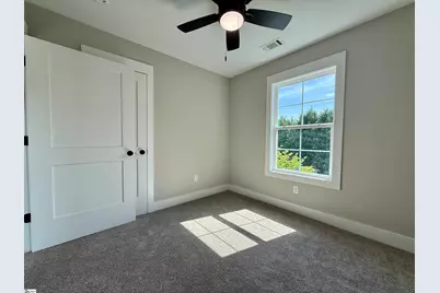 3 Lillians Lane, Greer, SC 29651 - Photo 23