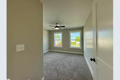 3 Lillians Lane, Greer, SC 29651 - Photo 19