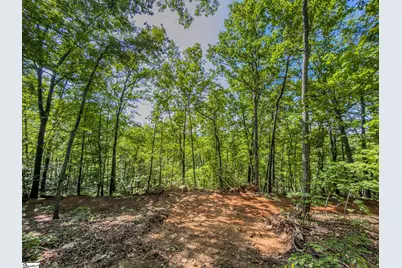 611 Packs Mountain Ridge Road, Taylors, SC 29687 - Photo 21