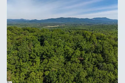 611 Packs Mountain Ridge Road, Taylors, SC 29687 - Photo 11