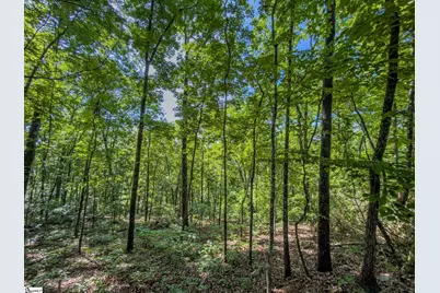 611 Packs Mountain Ridge Road, Taylors, SC 29687 - Photo 19