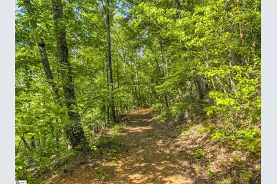 611 Packs Mountain Ridge Road, Taylors, SC 29687 - Photo 15