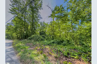 611 Packs Mountain Ridge Road, Taylors, SC 29687 - Photo 15